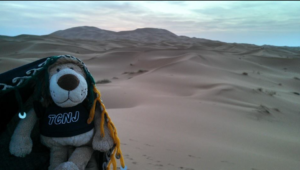 tcnj lion stuffed animal in front of desert sand dunes